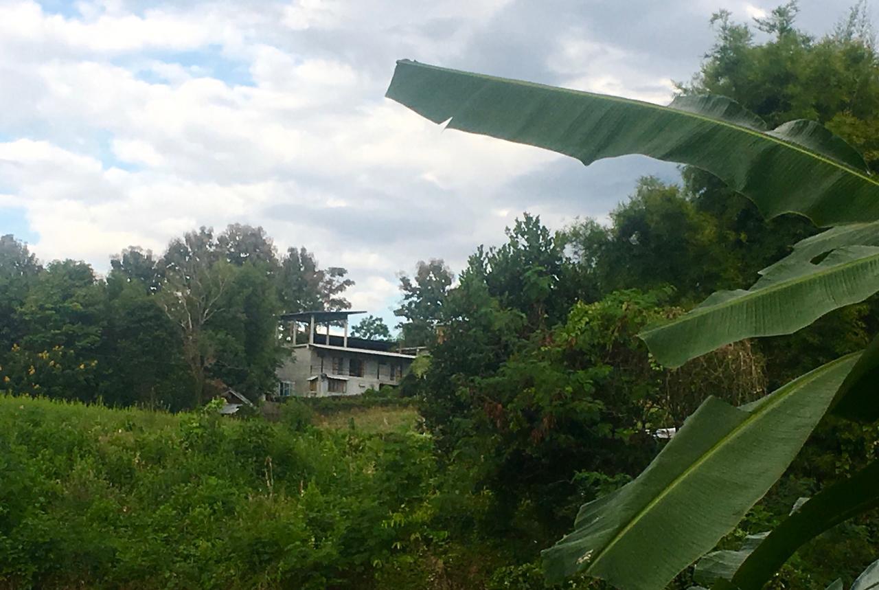 The Lookout Pai Hotel Luaran gambar